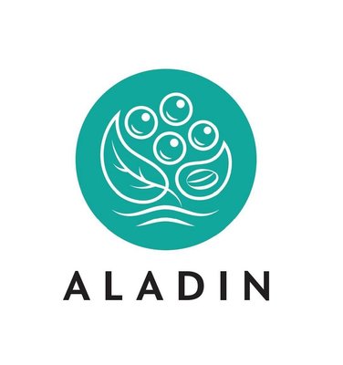 Trademark Aladin Boba Shake & Brew