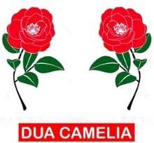 Trademark DUA CAMELIA DAN LUKISAN