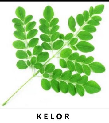 Trademark KELOR