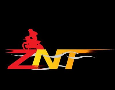 Trademark ZNT + LOGO