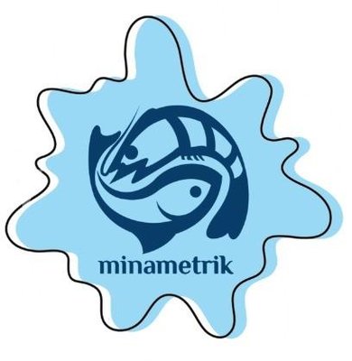 Trademark Minametrik