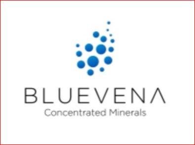 Trademark BLUEVENA + LOGO