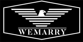 Trademark WEMARRY + LUKISAN