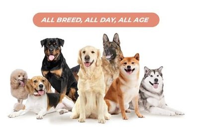 Trademark ALL BREED, ALL DAY, ALL AGE + LUKISAN