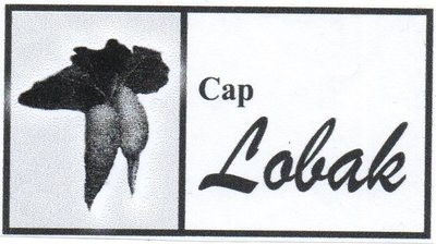 Trademark Cap Lobak + lukisan