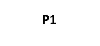 Trademark P1