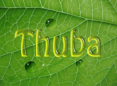 Trademark THUBA