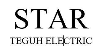 Trademark STAR TEGUH ELECTRIC