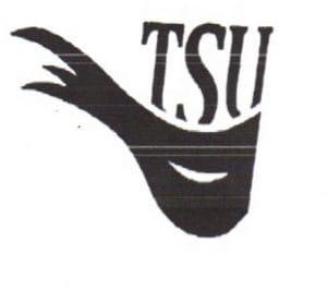 Trademark TSU + Lukisan