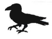 Trademark Crow Design