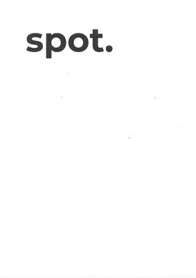 Trademark spot.