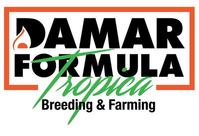 Trademark Damar Formula Tropica