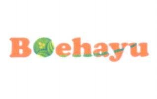 Trademark BOEHAYU