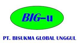 Trademark BIG–u