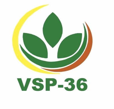 Trademark VSP-36+logo