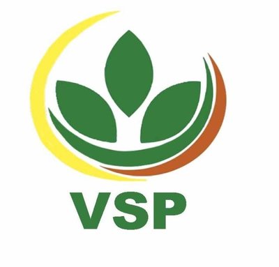 Trademark VSP+logo