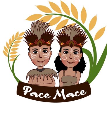 Trademark PACE MACE