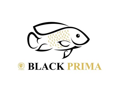 Trademark BLACK PRIMA