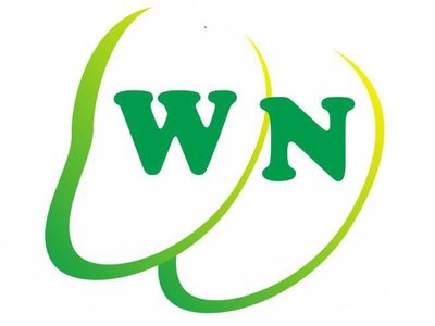 Trademark WN + LOGO