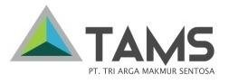 Trademark TAMS + Logo