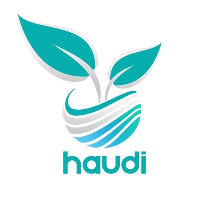 Trademark haudi