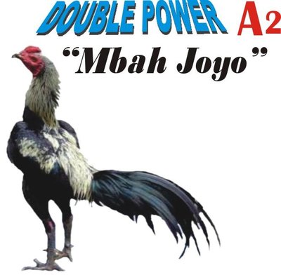 Trademark DOUBLE POWER A2 "Mbah Joyo"