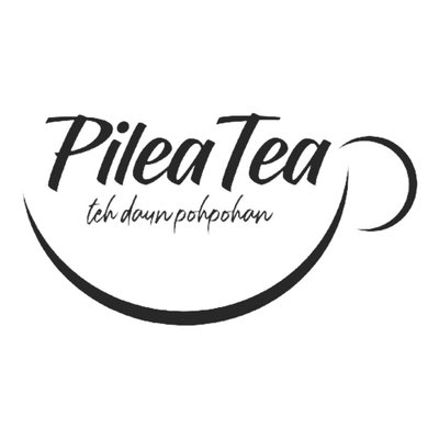 Trademark Pilea Tea