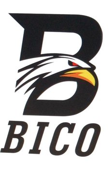 Trademark BICO