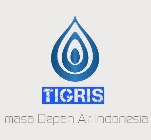 Trademark Tigris + Logo