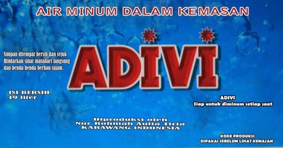 Trademark ADIVI