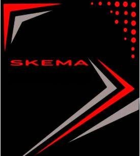 Trademark SKEMA