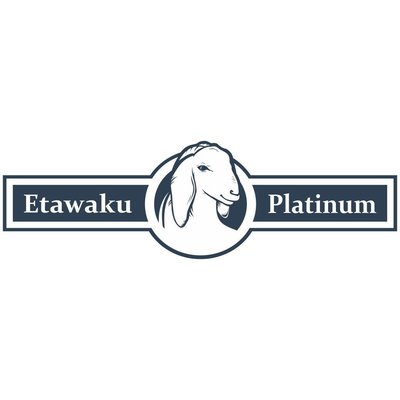 Trademark Etawaku Platinum