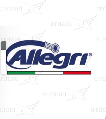 Trademark ALLEGRI