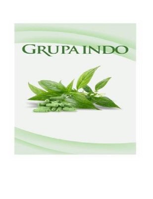 Trademark GRUPA INDO