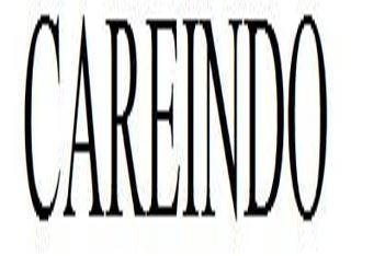 Trademark CAREINDO