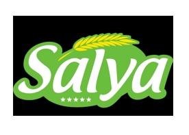 Trademark Salya + Lukisan