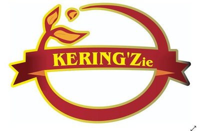 Trademark KERING ZIE