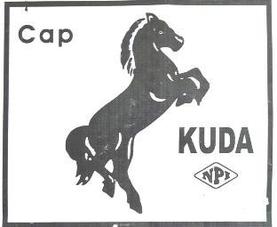 Trademark KUDA NPI + LUKISAN