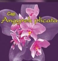 Trademark Cap Anggrek Plicata