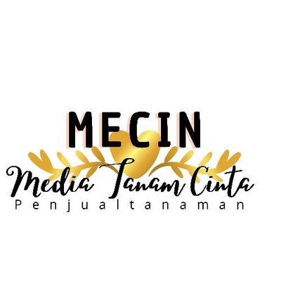 Trademark MECIN