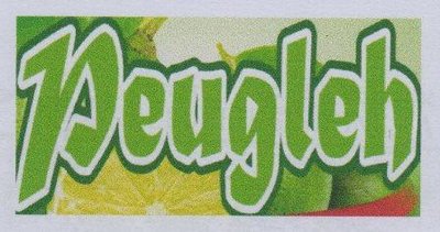 Trademark Peugleh