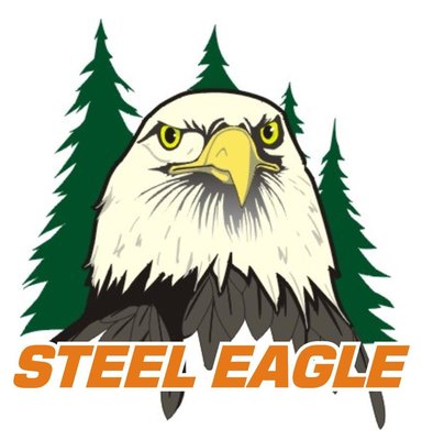 Trademark STEEL EAGLE +Logo