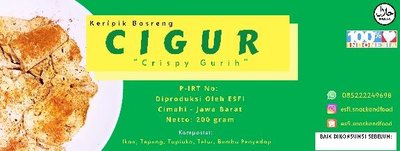 Trademark CIGUR