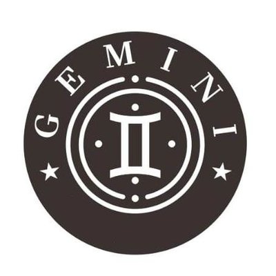 Trademark GEMINI + LOGO