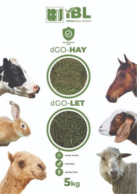 Trademark dGO-HAY dGO-LET + Logo