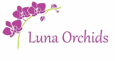 Trademark Luna Orchids