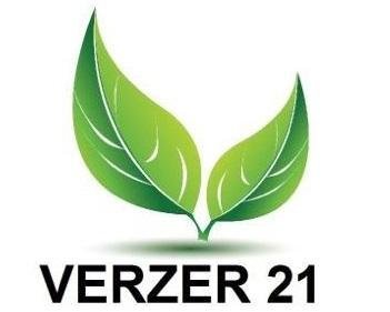 Trademark VERZER 21