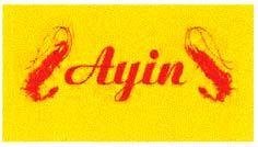 Trademark AYIN