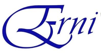 Trademark Erni