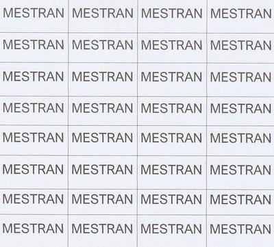 Trademark MESTRAN